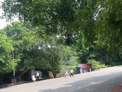 -水濂山森林公园