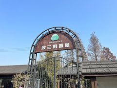 -金山农民画村-枫泾波兰倒置屋