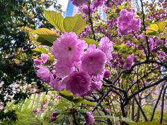 -苏州河梦清园环保主题公园