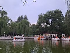 -丰台花园