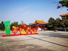 -曹州牡丹园