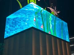 -深圳湾万象城(南山店)