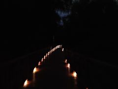 -大亚湾红树林城市湿地公园