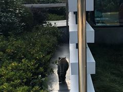 -星巴克(汇亚大厦店)