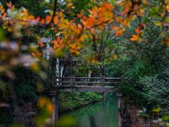 -西溪国家湿地公园