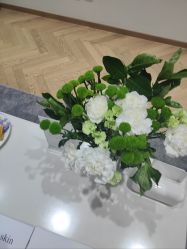 -HEYAN长风荷妍专业脱毛美肤
