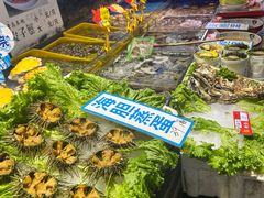 -乔家小院•非遗驴肉•青岛菜(滨河路店)