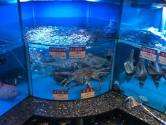 -协成海鲜火锅(海洋花园店)