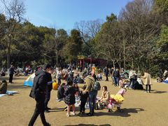 -鸡鸣汤包(红山动物园店)