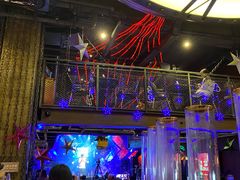 -MOSSO德国餐厅·音乐酒吧(环宇荟店)