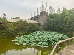 -驿舍·民國老营房院子私房菜(科学会堂店)