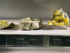-中国地质博物馆