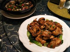 -梁溪河畔·吉府花园(南长街南下塘店)