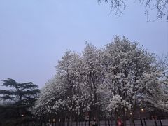 -睦南公园