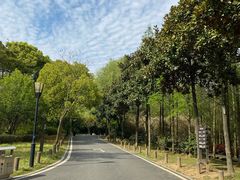 -宝界山林公园