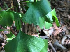 -丹东市五龙山风景区