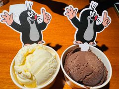 鼹鼠冰激凌-布拉格餐厅· 中欧捷克菜(全国首店)