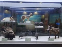 -国家自然博物馆