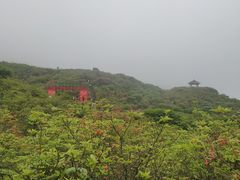 -大围山国家森林公园