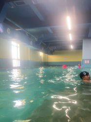 点击看大图 -宝燕乐园(闵行旗舰店)