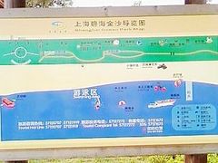 -碧海金沙
