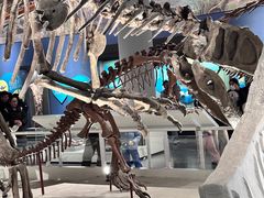 -国家自然博物馆