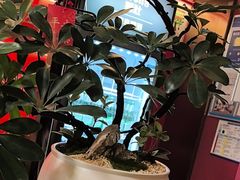 -青螺餐厅·家宴(松雅湖店)