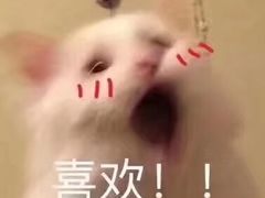 -友达面馆(桥西万象城店)