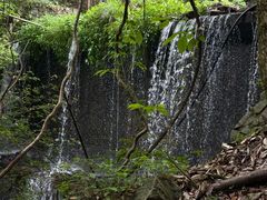 -江西阳明山国家森林公园