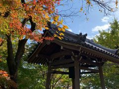-常寂光寺