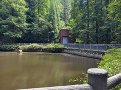 -山王坪喀斯特国家生态公园