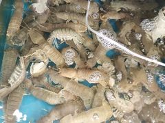 -聚德福海鲜家常菜(刘庄店)