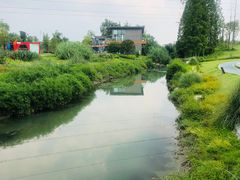 -两河城市森林公园