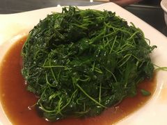 金花菜酒香-新聚丰菜馆(太监弄店)