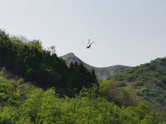 -黄花溪