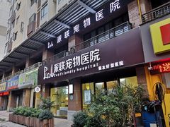 -派联宠物医院·24h·CT·异宠