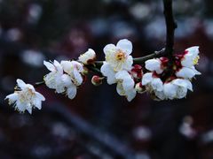 -静安雕塑公园