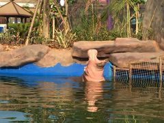 -灵玲国际马戏城