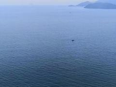 -国际金钻海鲜餐厅