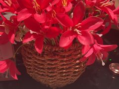 -伙靠·江浙菜(田林路店)
