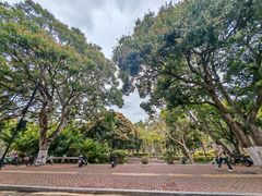 -厦门大学(思明校区)