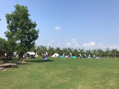 -上海海湾国家森林公园