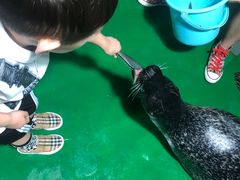 -嘉兴海底世界