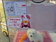 -龟与熊猫宠物公园(南坪店)