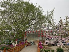 -望湖烤鱼
