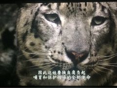 -新影联·华谊兄弟影院(望京店)
