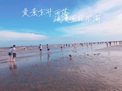 -奉贤海滩