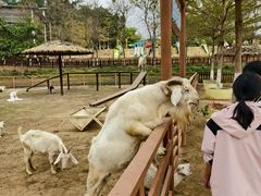 -盈香心动乐园