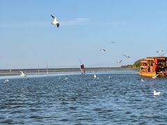 -乌梁素海景区