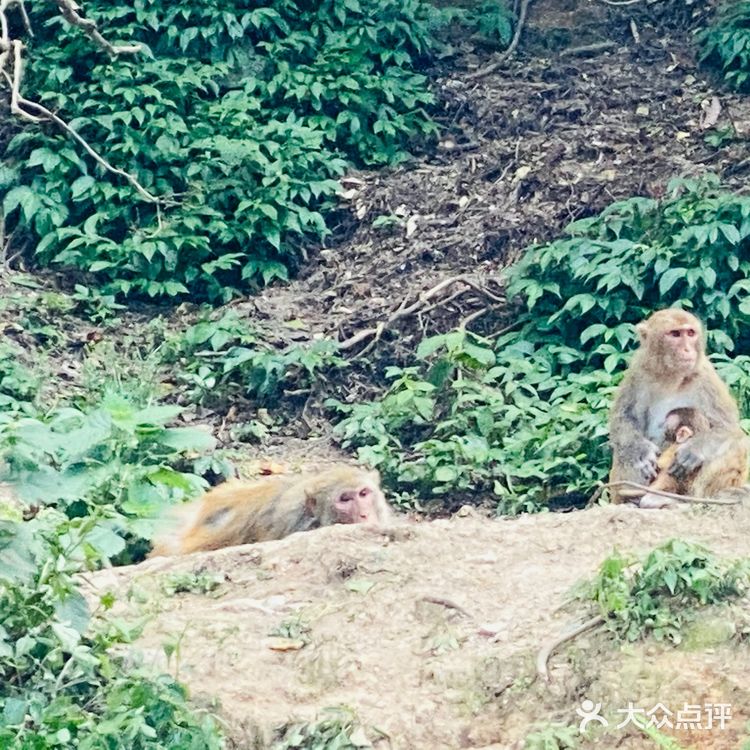 吃吃喝喝玩玩乐乐（贵州黔灵山）